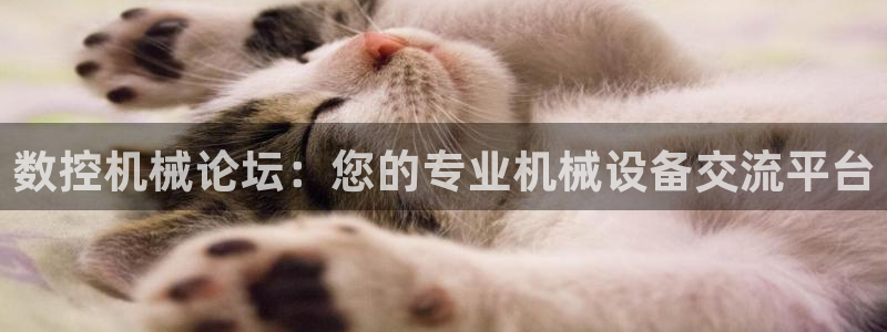 天辰娱乐连接