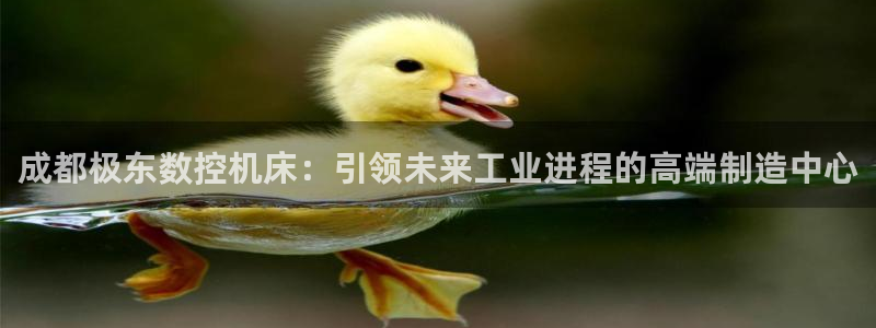 天辰娱乐平台app下载