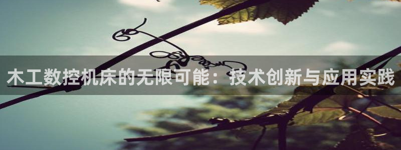 天辰娱乐服务