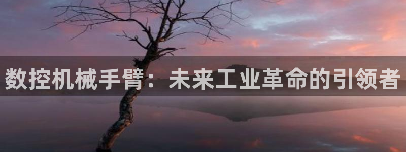 天辰娱乐481928