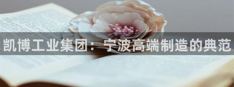 天辰娱乐简介