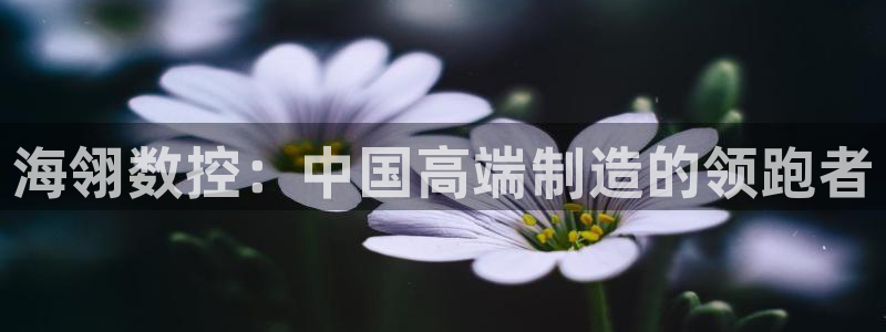 天辰娱乐官