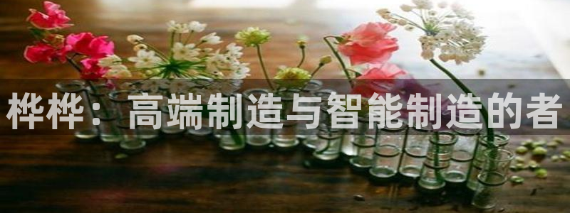 天辰娱乐娱乐平台
