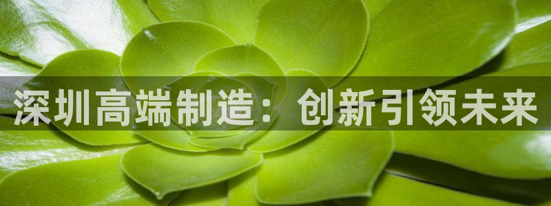 南充天辰娱乐