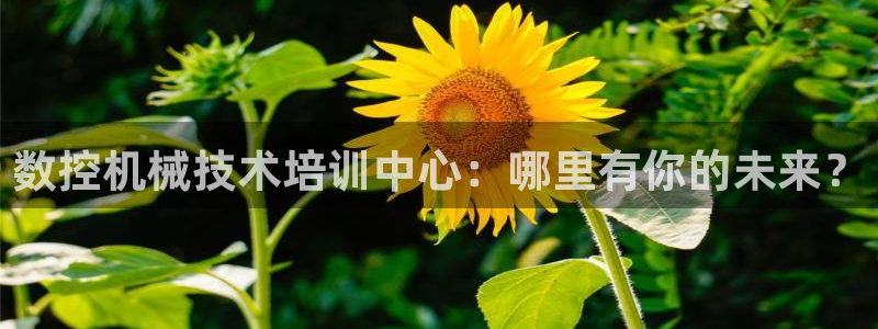 天辰娱乐待遇
