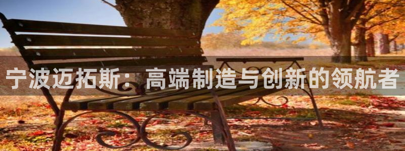 天辰娱乐简介