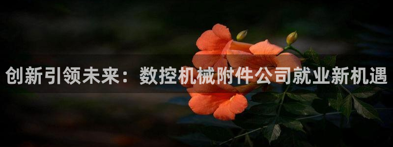 天辰娱乐在哪