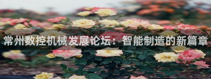 天辰娱乐44516