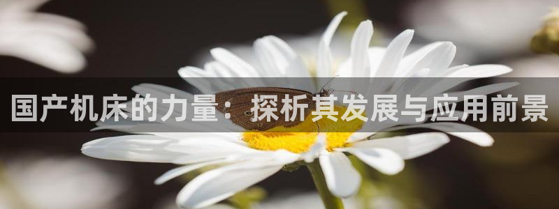 天辰娱乐39974神
