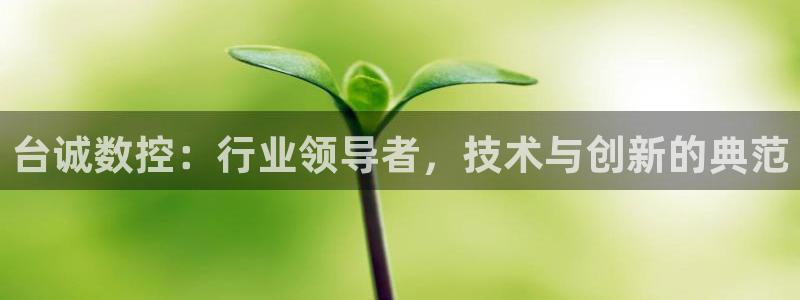 天辰娱乐登陆平台