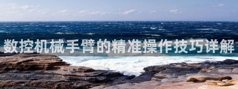天辰娱乐黑人