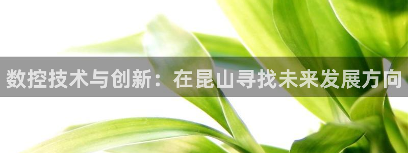 天辰娱乐1956