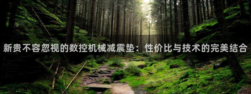 天辰娱乐黑人