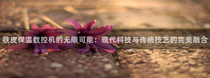 菲律宾天辰娱乐：铁皮保温数控机的无限可能：现代科技与传统技艺的完美融合
