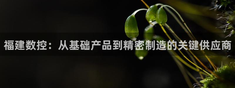 天辰在线娱乐：福建数控：从基础产品到精密制造的关键供应商