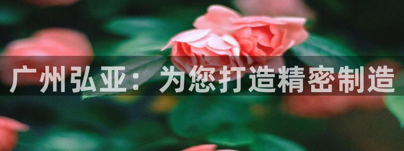 天辰娱乐小妹：广州弘亚：为您打造精密制造