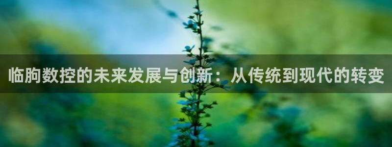 天辰娱乐链接