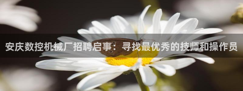 天辰娱乐在线登录注册：安庆数控机械厂招聘启事：寻找最优秀的技师和操作员
