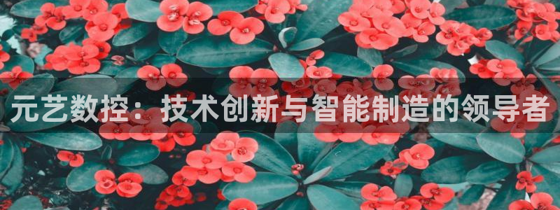 天辰娱乐网