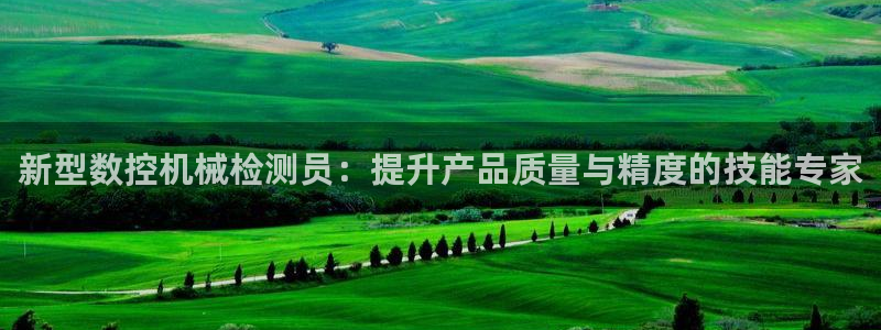 天辰娱乐_675138