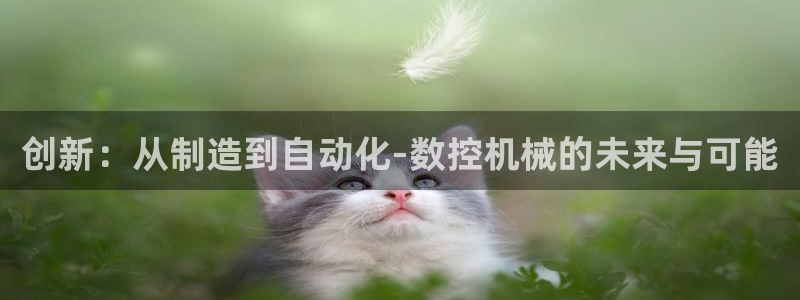 天辰天富娱乐