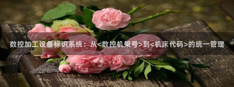 天辰娱乐 注册:数控加工设备标识系统:从<数控机架号>到<机床代码>的统一管理