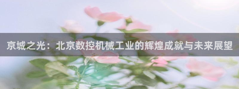 天辰娱乐在哪:京城之光:北京数控机械工业的辉煌成就与未来展望