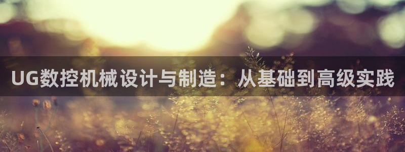 天辰娱乐主管:UG数控机械设计与制造:从基础到高级实践