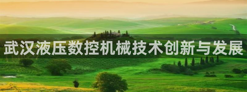 天辰娱乐 18113：武汉液压数控机械技术创新与发展