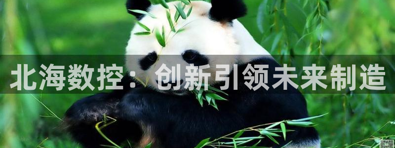 天辰娱乐视频：北海数控：创新引领未来制造