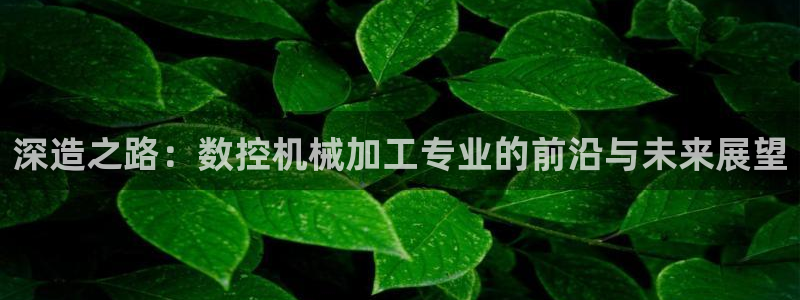 天辰娱乐总管