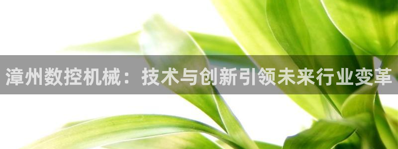 天辰娱乐官
