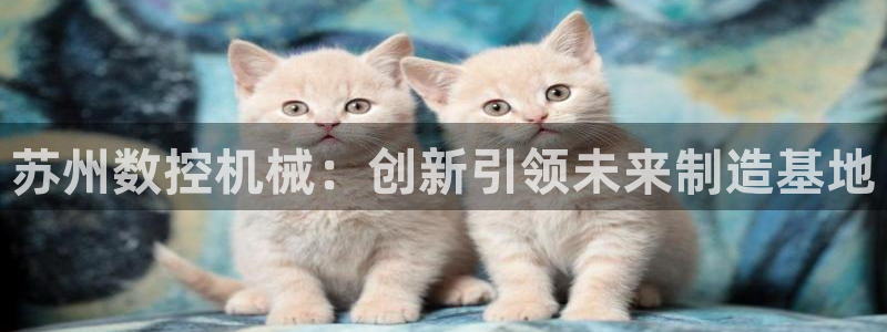 天辰娱乐平台入口