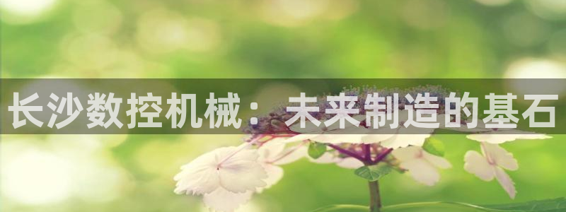 天辰娱乐上级：长沙数控机械：未来制造的基石