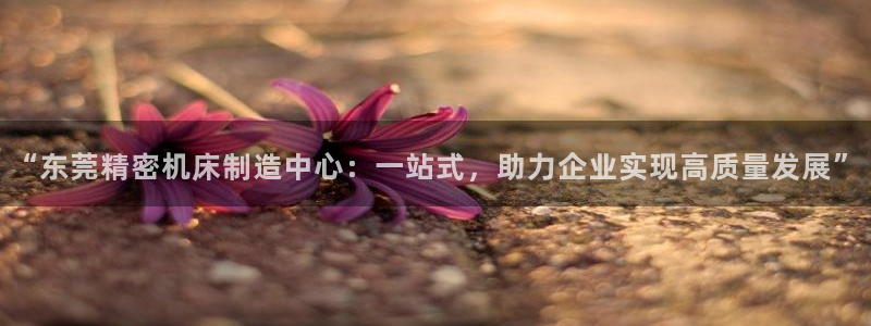 天辰娱乐指定：“东莞精密机床制造中心：一站式，助力企业实现高质量发展”